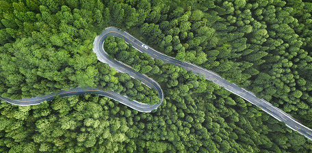 Carretera en medio de un bosque